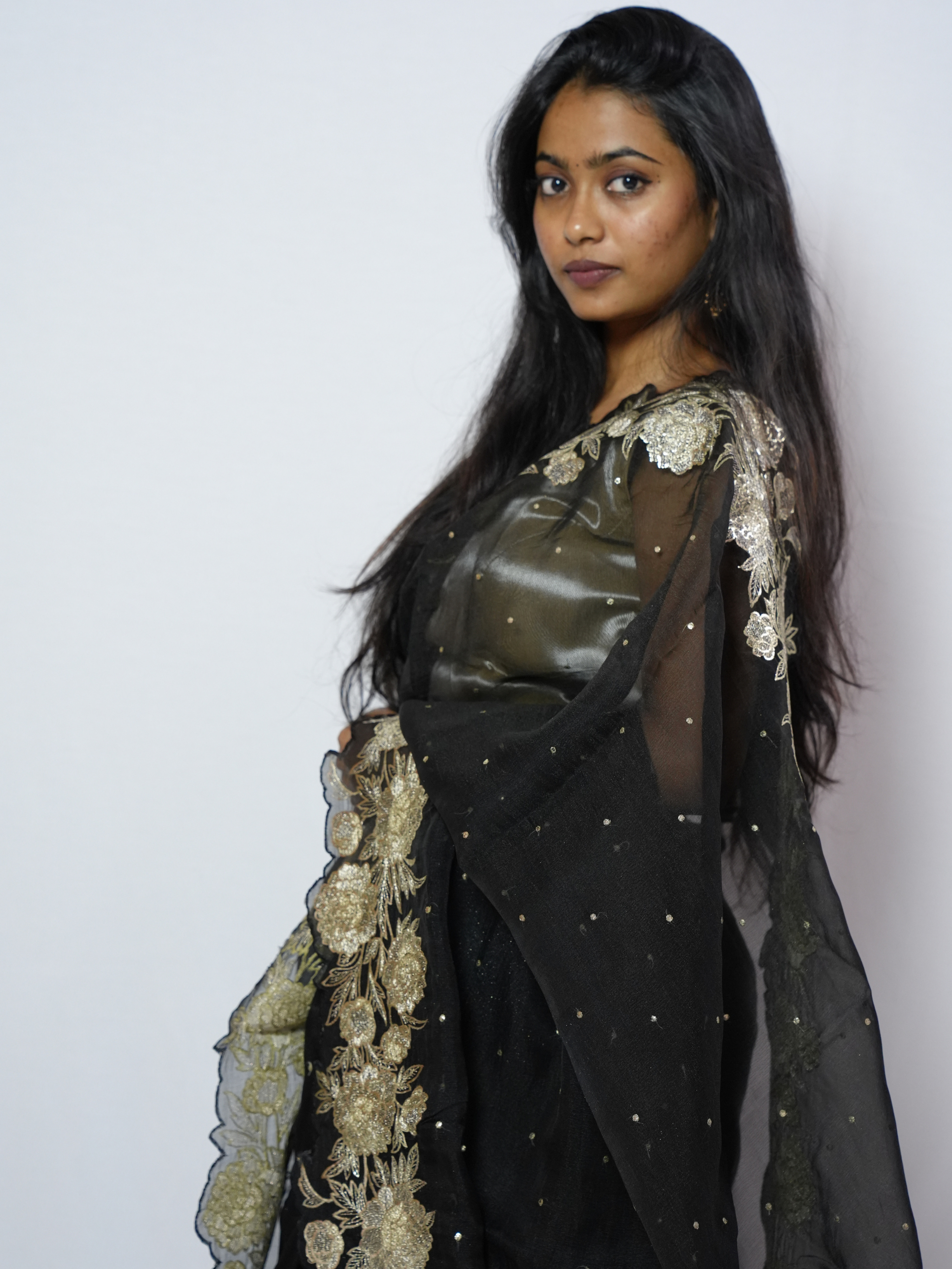 Nisha Cutwork Organza Saree